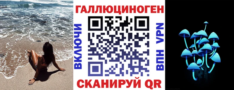 Псилоцибиновые грибы Psilocybe  Ухта 