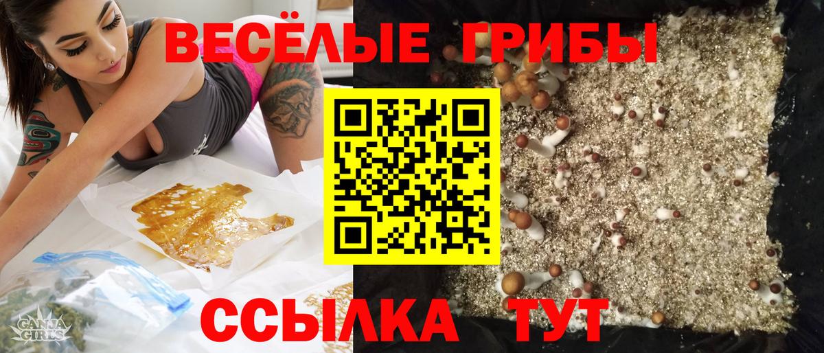 Галлюциногенные грибы Cubensis  Вход с VPN  Ухта  Галлюциногенные грибы мицелий 